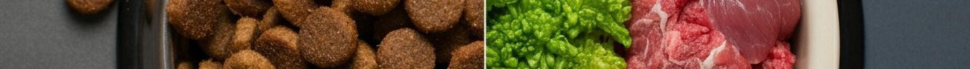 Het verschil tussen hondenbrokken en natvoer: wat kies je voor jouw hond? - Fidello