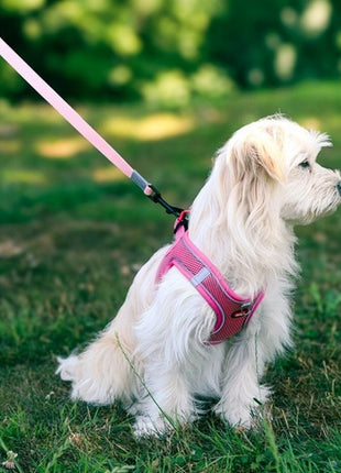 Zolux Szelki oddychające z siatki M zielone