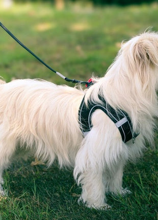 Zolux Szelki oddychające z siatki M zielone