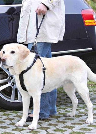 Trixie Autogordel Korthouder Universeel Zwart