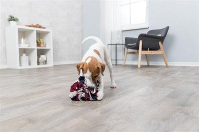 Trixie Dog Activity Snuffelbal