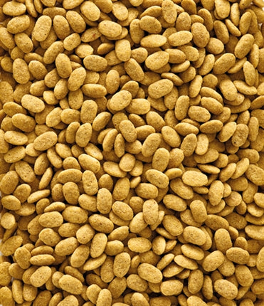 Nutribird P15 Original Onderhoudsvoeder