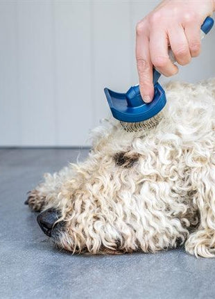 Mikki Doodle Slickerborstel