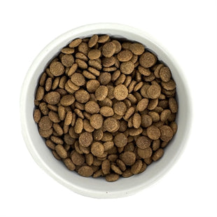 Preisgünstiges Senior-Katzenfutter in Premiumqualität – 1 kg – Für ältere und sterilisierte Katzen