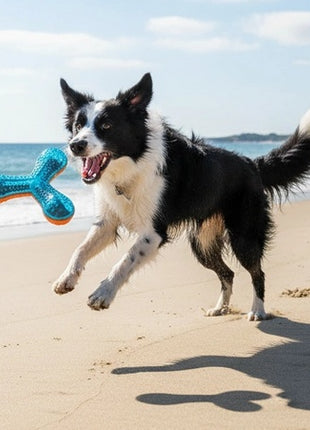 Zolux Zabawka gryzak bumerang Tao 13,6cm