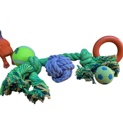 Fidello Spielzeugpaket Hund & Welpe – Das schönste Geschenk für kleine Hunde und Welpen