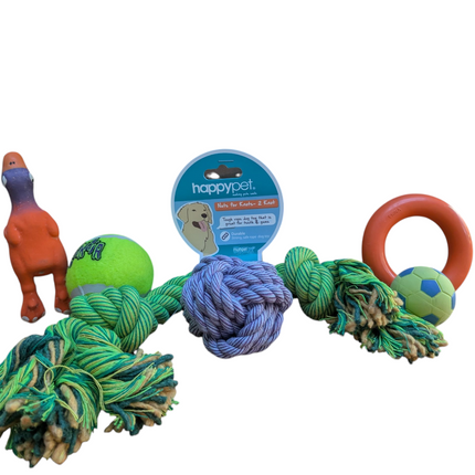 Fidello Spielzeugpaket Hund & Welpe – Das schönste Geschenk für kleine Hunde und Welpen