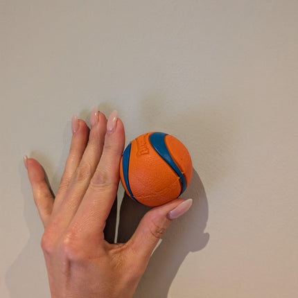 Chuckit Ultra Ball – In verschiedenen Größen erhältlich