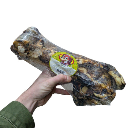 Petsnack Dinobot Verpackt - 100% natürlicher Kauknochen von ca. 30 cm
