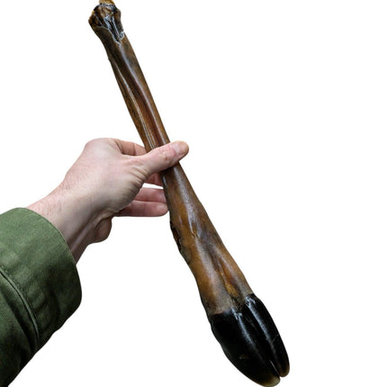 Petsnack Hirschbein – Natürlicher Kausnack für Hunde - 100% natürlicher Kauknochen