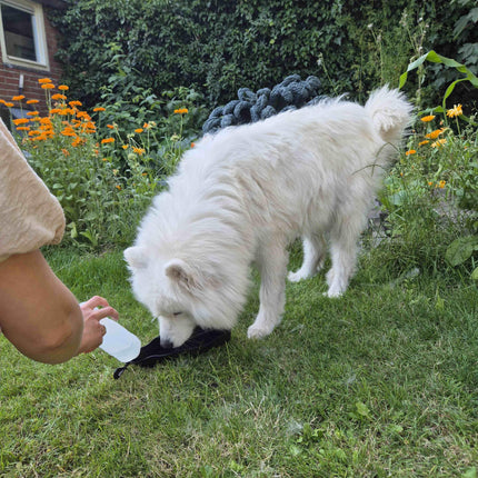 Petgear Reisetrinkflasche – Wasserflasche und Wassernapf in einem für unterwegs