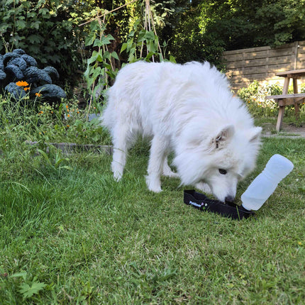 Petgear Reisetrinkflasche – Wasserflasche und Wassernapf in einem für unterwegs